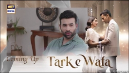 Tark e Wafa - Episode 33 - 9th August 2024